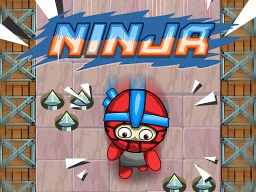 Screenshot van Ninja